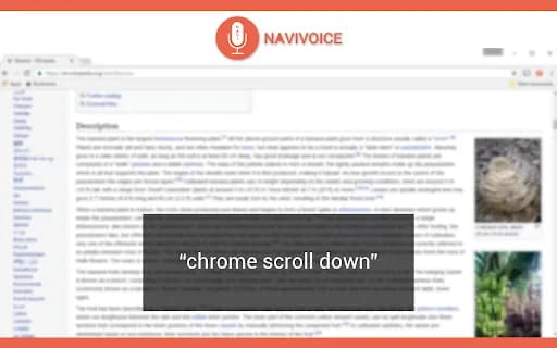NaviVoice: Voice Input Productivity Assistant
