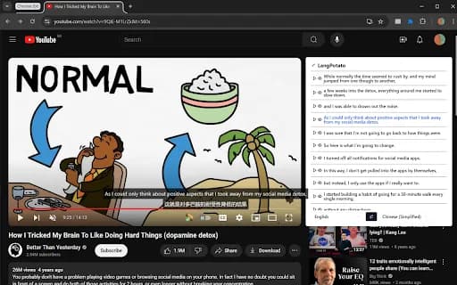 LangPotato: Dual-Caption YouTube for Language Learners