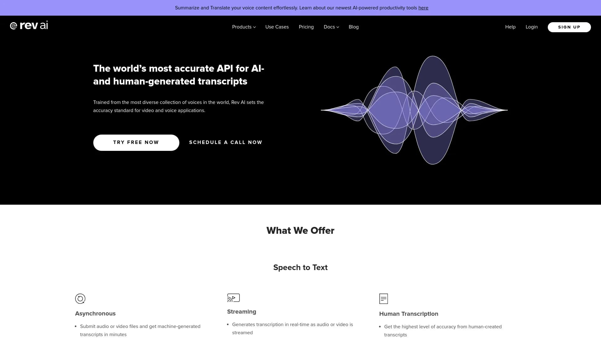 rev.ai