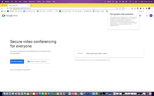 Pals Google Meet Helper